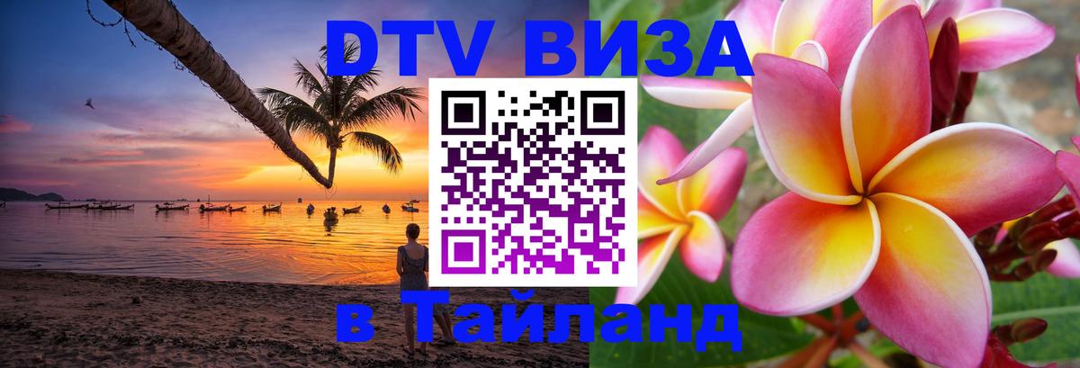 Сколько стоит DTV виза — актуальные цены, оформление даже без документов - 06.12.2025 
